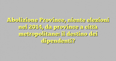 Abolizione Province, niente elezioni nel 2014, da province a città metropolitane: il destino dei dipendenti?