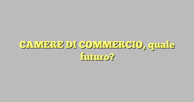 CAMERE DI COMMERCIO, quale futuro?