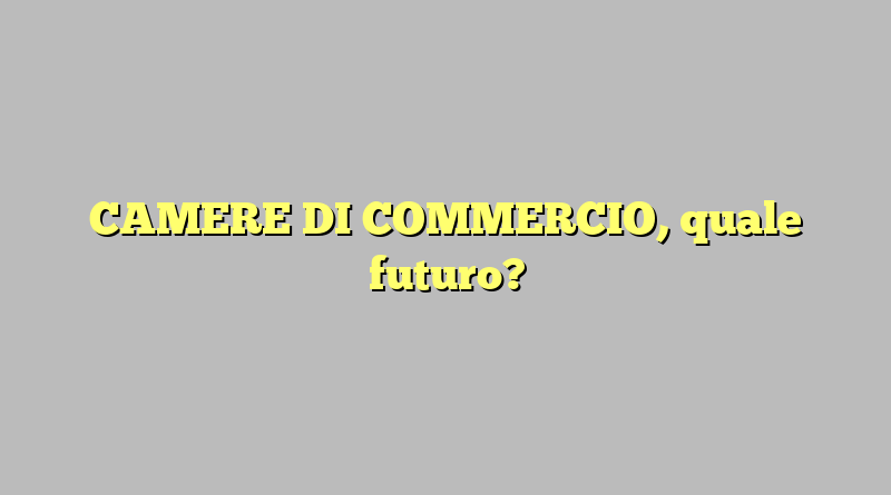 CAMERE DI COMMERCIO, quale futuro?