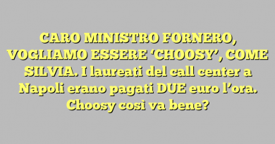 CARO MINISTRO FORNERO, VOGLIAMO ESSERE ‘CHOOSY’, COME SILVIA. I laureati del call center a Napoli erano pagati DUE euro l’ora. Choosy così va bene?