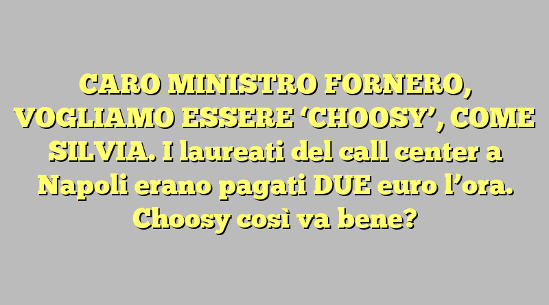 CARO MINISTRO FORNERO, VOGLIAMO ESSERE ‘CHOOSY’, COME SILVIA. I laureati del call center a Napoli erano pagati DUE euro l’ora. Choosy così va bene?