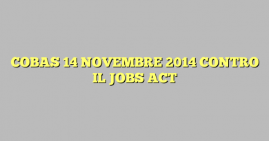 COBAS 14 NOVEMBRE 2014 CONTRO IL JOBS ACT