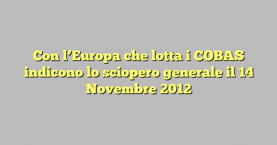 Con l’Europa che lotta i COBAS indicono lo sciopero generale il 14 Novembre 2012