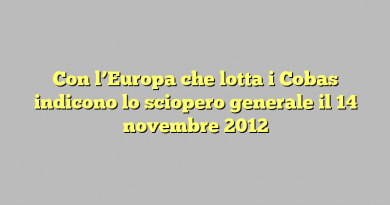 Con l’Europa che lotta i Cobas indicono lo sciopero generale il 14 novembre 2012