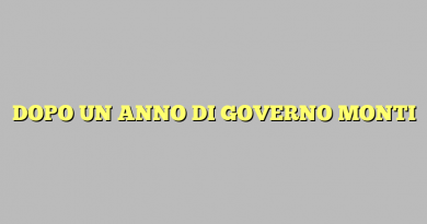 DOPO UN ANNO DI GOVERNO MONTI