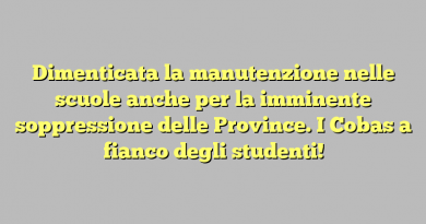 Dimenticata la manutenzione nelle scuole anche per la imminente soppressione delle Province. I Cobas a fianco degli studenti!