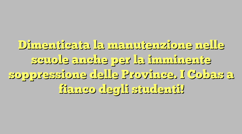 Dimenticata la manutenzione nelle scuole anche per la imminente soppressione delle Province. I Cobas a fianco degli studenti!