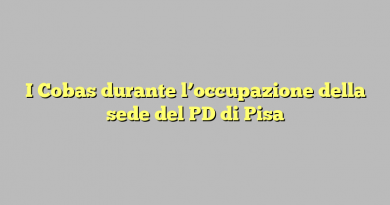 I Cobas durante l’occupazione della sede del PD di Pisa