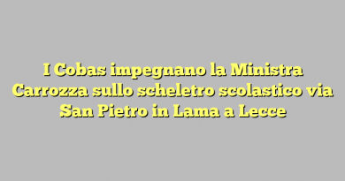 I Cobas impegnano la Ministra Carrozza sullo scheletro  scolastico via San Pietro in Lama a Lecce