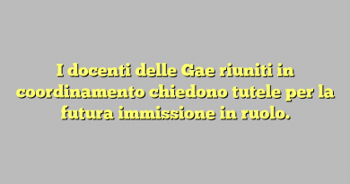 I docenti delle Gae riuniti in coordinamento chiedono tutele per la futura immissione in ruolo.