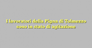 I lavoratori della Pigna di Tolmezzo sono in stato di agitazione