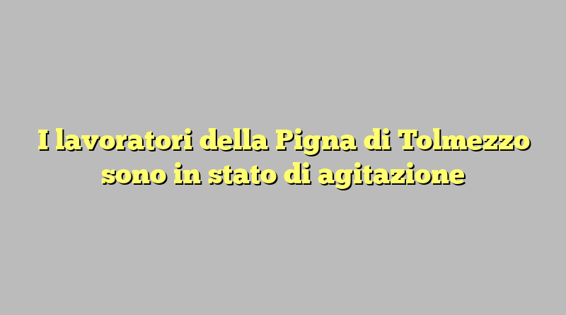 I lavoratori della Pigna di Tolmezzo sono in stato di agitazione