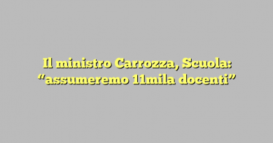 Il ministro Carrozza, Scuola: “assumeremo 11mila docenti”