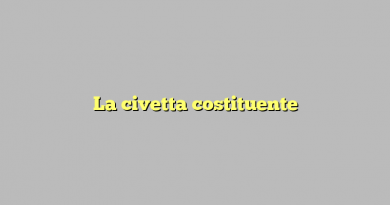 La civetta costituente