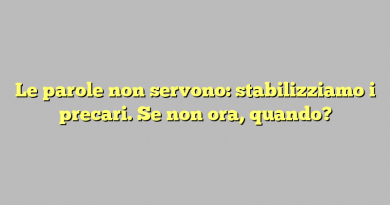 Le parole non servono: stabilizziamo i precari. Se non ora, quando?