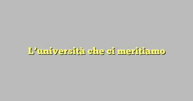 L’università che ci meritiamo