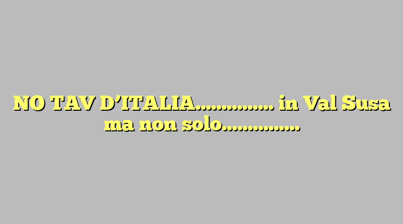 NO TAV D’ITALIA…………… in Val Susa ma non solo……………