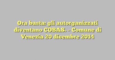 Ora basta: gli autorganizzati diventano COBAS. – Comune di Venezia 20 dicembre 2014
