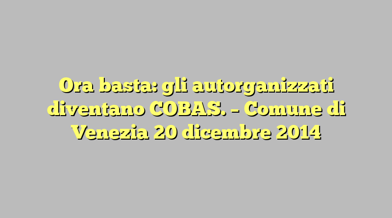 Ora basta: gli autorganizzati diventano COBAS. – Comune di Venezia 20 dicembre 2014