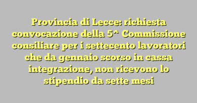 Provincia di Lecce: richiesta convocazione  della 5^ Commissione consiliare per i settecento lavoratori che da gennaio scorso in cassa integrazione, non ricevono lo stipendio da sette mesi