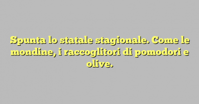 Spunta lo statale stagionale. Come le mondine, i raccoglitori di pomodori e olive.