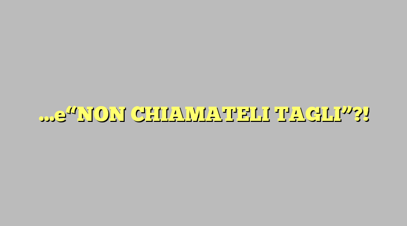 …e“NON CHIAMATELI TAGLI”?!